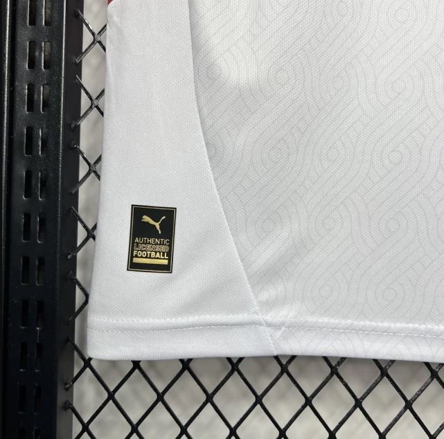 Galatasaray Visitante 24/25